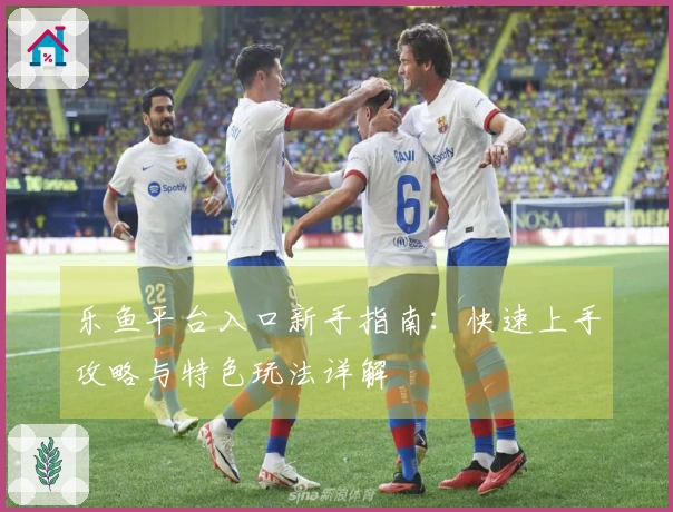 乐鱼平台入口新手指南：快速上手攻略与特色玩法详解